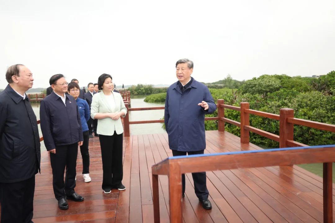 堅定不(bù)移全面深化(huà)改革擴大(dà)高(gāo)水(shuǐ)平對(duì)外(wài)開(kāi)放(fàng)在推進中國(guó)式現(xiàn)代化(huà)建設中走在前列